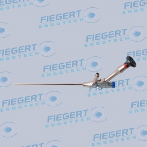 ¹Fiegert׵׾ϵͳ